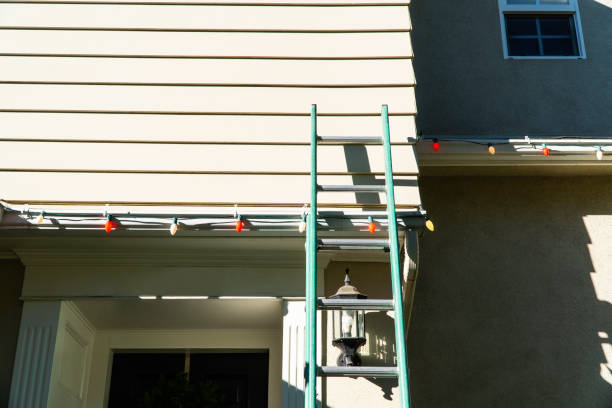 Best Stucco Siding  in Bridgman, MI